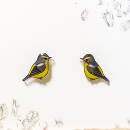 小さなピアスシリーズ～オカメインコ(A)ピアス/ノンホールピアス(樹脂
