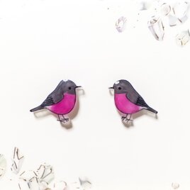 小さなピアスシリーズ～オカメインコ(A)ピアス/ノンホールピアス(樹脂