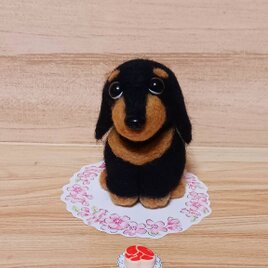 羊毛フェルト ダックスフンド 3体セット 敷物付き | iichi 日々の