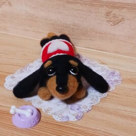 ♥️羊毛フェルト♥️ダックスちゃんと猫ちゃんのアレンジメント♪ 羊毛フェルト 毛糸で遊ぶグレーの猫ちゃん | iichi 日々の暮らしを