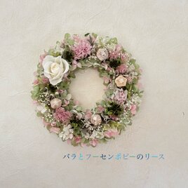 ドライをお部屋に！】アプリコットカラーのリース ♯プチギフト