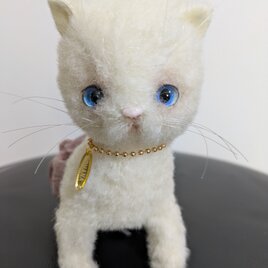 ぬいぐるみ☆トイプードル☆子犬☆ブラック | iichi 日々の暮らしを