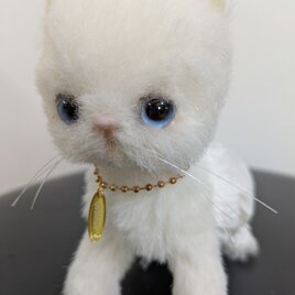 ぬいぐるみ☆チワワ☆子犬☆白×黒 | iichi 日々の暮らしを心地よくする