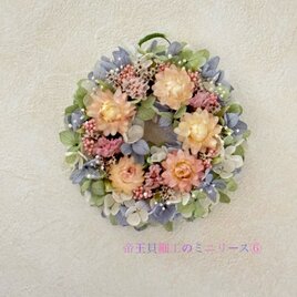 ドライをお部屋に！】アプリコットカラーのリース ♯プチギフト