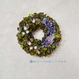 ドライをお部屋に！】アプリコットカラーのリース ♯プチギフト