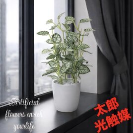 光触媒 人工観葉植物 ウォールグリーン フェイクグリーン リアル胡蝶蘭