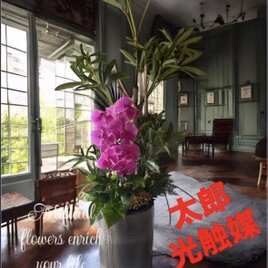 光触媒 人工観葉植物 ウォールグリーン フェイクグリーン ゴムの木1.6