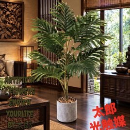 光触媒 人工観葉植物 ウォールグリーン フェイクグリーン トネリコ8050