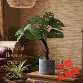 光触媒 人工観葉植物 ウォールグリーン フェイクグリーン サンスベリア