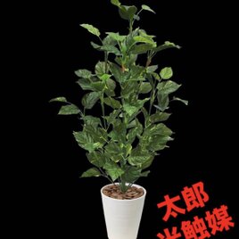 光触媒 人工観葉植物 ウォールグリーン フェイクグリーン 麻壁掛け75