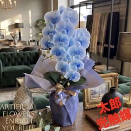 光触媒 人工観葉植物 ウォールグリーン フェイクグリーン シーグレープ