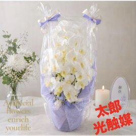 光触媒 人工観葉植物 ウォール グリーン フェイクグリーン アレカヤシ