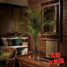 光触媒 人工観葉植物 ウォールグリーン フェイクグリーン 盆栽