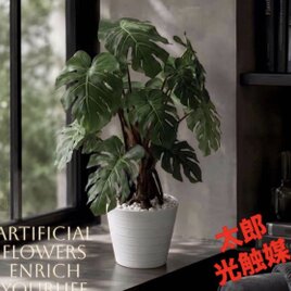 光触媒 観葉植物 ウォールグリーン フェイクグリーン ニュー