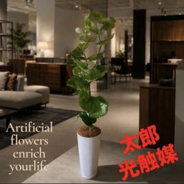 光触媒 人工観葉植物 ウォールグリーン フェイクグリーン