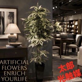 光触媒 人工観葉植物 ウォールグリーン フェイクグリーン ガジュマル50