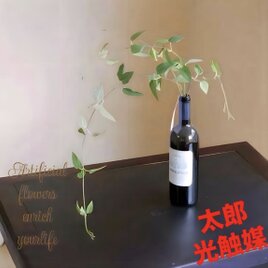 光触媒 人工観葉植物 ウォールグリーン フェイクグリーン フィットニア