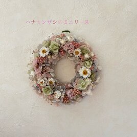 ☆千日紅のグリーンリース☆ ♯ドライフラワー ♯プリザーブドフラワー