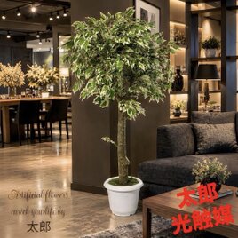 光触媒 人工観葉植物 ウォールグリーン 壁掛け ウッドボックスZP