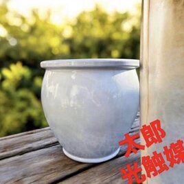 太郎 光触媒 人工観葉植物 ウォールグリーン フェイクグリーン