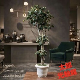 光触媒 人工観葉植物 ウォールグリーン フェイクグリーン サッカレント