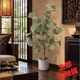 太郎 光触媒 人工観葉植物 ウォールグリーン フェイクグリーン