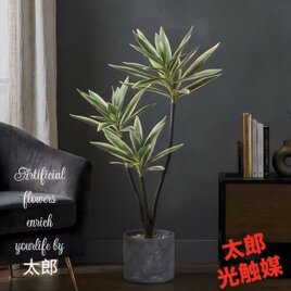 太郎 光触媒 人工観葉植物 ウォールグリーン フェイクグリーン
