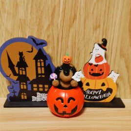 羊毛フェルト ハロウィン ダックスフンドと キャンディ かぼちゃ
