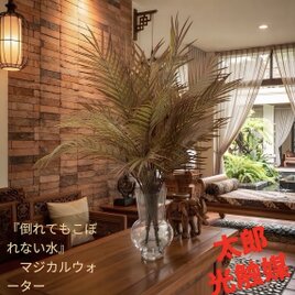 光触媒 観葉植物 ウォールグリーン フェイクグリーン ハンギングフィロ 光触媒 観葉植物 ウォールグリーン フェイクグリーン ハンギングフィロ