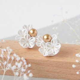 白桜 / ピアス / 白色 金色 フォーマル 和装 結婚式 入学式 卒業式 和
