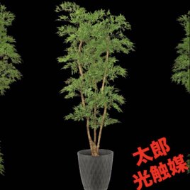 光触媒 人工観葉植物 ウォールグリーン フェイクグリーン フィットニア