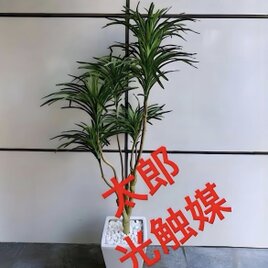 光触媒 人工観葉植物 ウォールグリーン フェイクグリーン 壁掛けソード