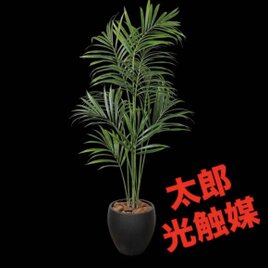 光触媒 人工観葉植物 ウォールグリーン フェイクグリーン ユーカリptw 光触媒 人工観葉植物 ウォールグリーン フェイクグリーン ユーカリptw