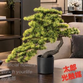 光触媒 人工観葉植物 ウォールグリーン フェイクグリーン サンスベリア