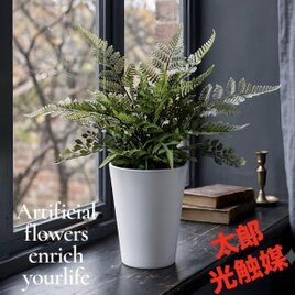 光触媒 人工観葉植物 ウォールグリーン フェイクグリーン 8寸銀ツボ