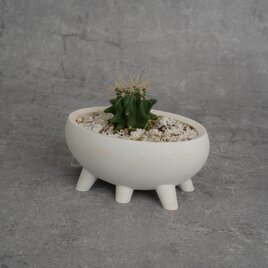 植木鉢 3Dプリンター鉢 7号サイズ 浅鉢寄り 白い麻紐付き 塊根 多肉 象牙宮 植木鉢 FLOW｜花びらのように波打つ、白い浅鉢｜多肉植物 寄せ植え 3D