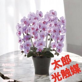 光触媒 人工観葉植物 ウォールグリーン フェイクグリーン レモンの木