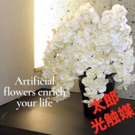 光触媒 人工観葉植物 ウォールグリーン フェイクグリーン レモンの木