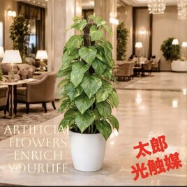 光触媒 人工観葉植物 ウォールグリーン フェイクグリーン パキラ1.35