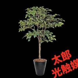 光触媒 人工観葉植物 ウォールグリーン フェイクグリーン 壁掛け11040