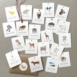 選べる動物のメッセージカード サンキューカード 20枚 | iichi 日々の