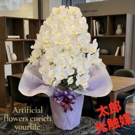 光触媒 人工観葉植物 ウォールグリーン フェイクグリーン シーグレープ