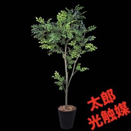 光触媒 人工観葉植物 ウォールグリーン フェイクグリーン ブラック