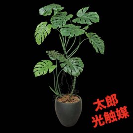 光触媒 人工観葉植物 ウォールグリーン フェイクグリーン 黒竹南天
