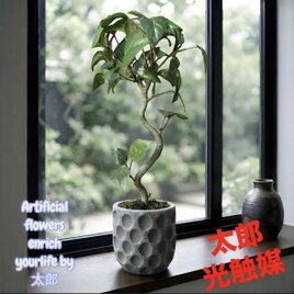 光触媒 人工観葉植物 ウォールグリーン フェイクグリーン サンスベリア