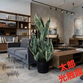 光触媒 人工観葉植物 ウォールグリーン フェイクグリーン 黒竹南天