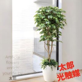 光触媒 人工観葉植物 ウォールグリーン フェイクグリーン 壁掛け