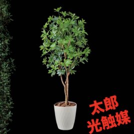 光触媒、人工観葉植物、ウォールグリーン フェイクグリーン 壁掛け
