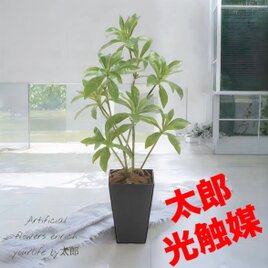 光触媒　人工観葉植物　ウォールグリーン　フェイクグリーン　コウモリランモスボール 光触媒 人工観葉植物 ウォールグリーン フェイクグリーン コウモリラン