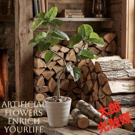 光触媒 人工観葉植物 ウォールグリーン フェイクグリーン 壁掛け